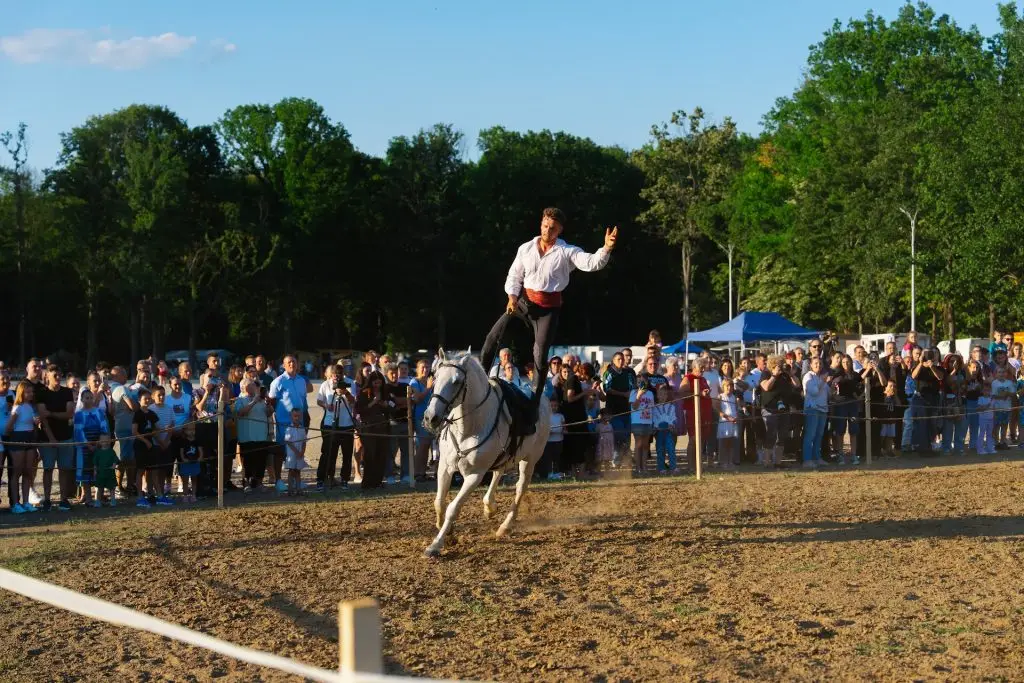 Călăreț în picioare pe cal, în fața publicului, la festivalul Legendele Gorjului