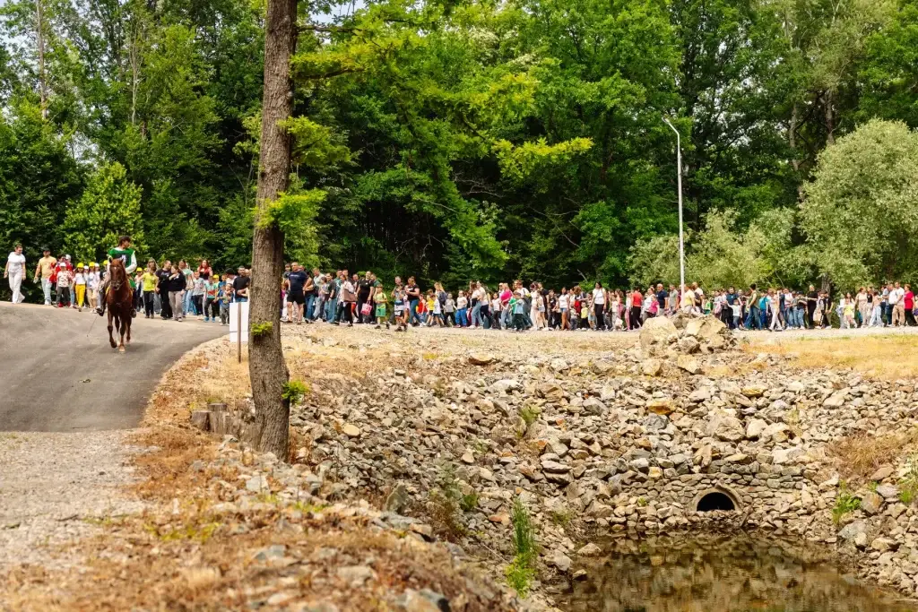 Public adunat de-a lungul aleii, la un eveniment din domeniu